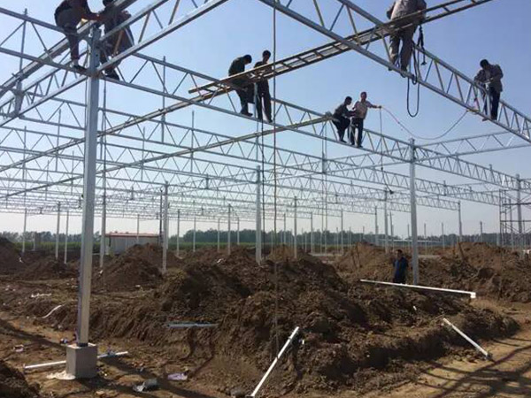 大慶智能溫室大棚骨架施工
