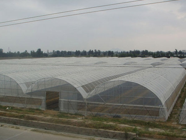 濟(jì)寧蔬菜薄膜大棚