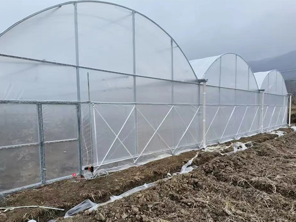 貴陽薄膜大棚工程