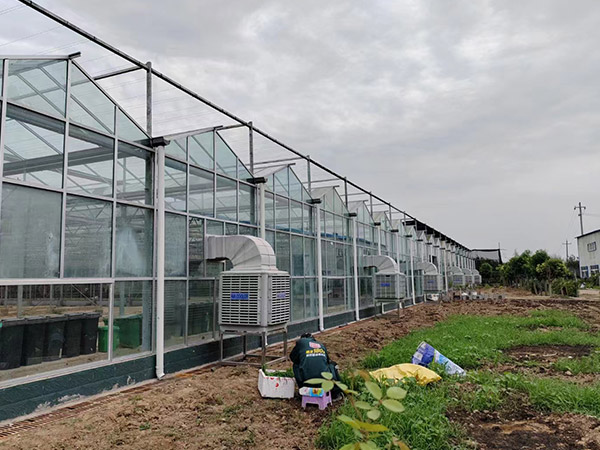 日照現(xiàn)代農(nóng)業(yè)智能玻璃大棚