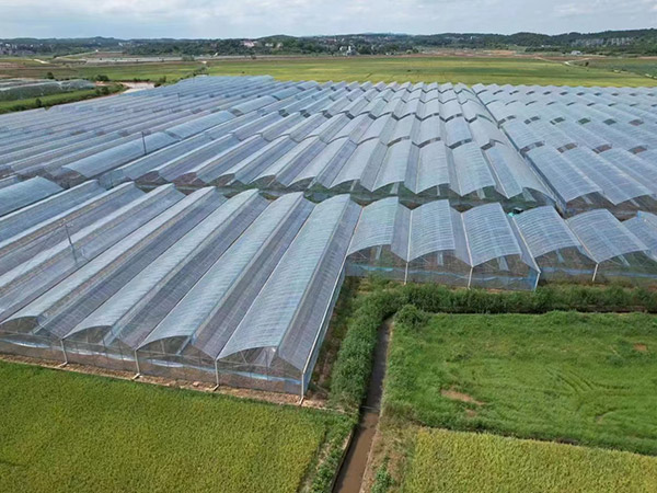 貴陽薄膜種植大棚