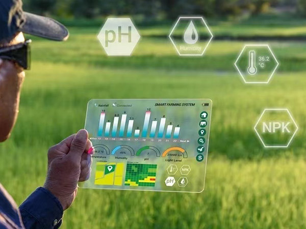 貴陽新型農(nóng)業(yè)智能化溫室大棚