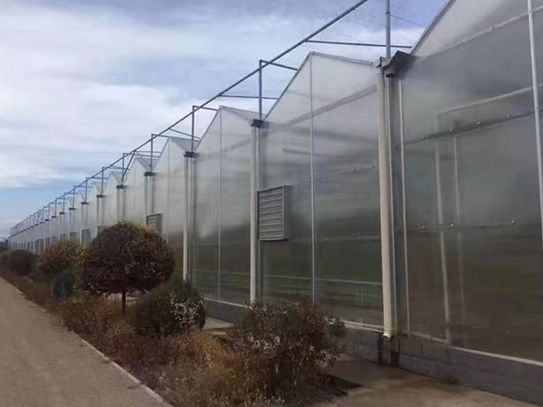蘇州陽光板大棚造價